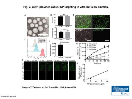 Fig. 2. CD31 provides robust NP targeting in vitro but slow kinetics.