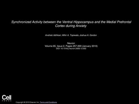 Synchronized Activity between the Ventral Hippocampus and the Medial Prefrontal Cortex during Anxiety  Avishek Adhikari, Mihir A. Topiwala, Joshua A.