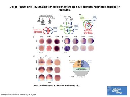 Direct Pou5f1 and Pou5f1/Sox transcriptional targets have spatially restricted expression domains. Direct Pou5f1 and Pou5f1/Sox transcriptional targets.