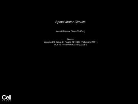 Spinal Motor Circuits Neuron