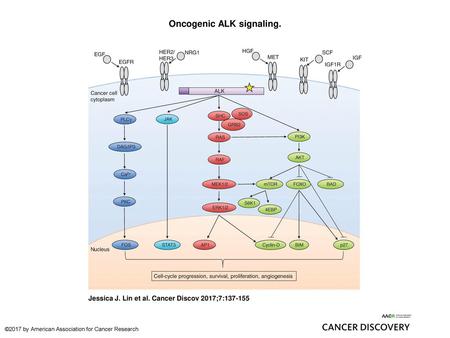 Oncogenic ALK signaling.