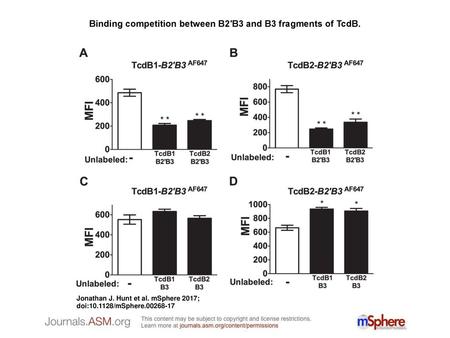 Binding competition between B2′B3 and B3 fragments of TcdB.