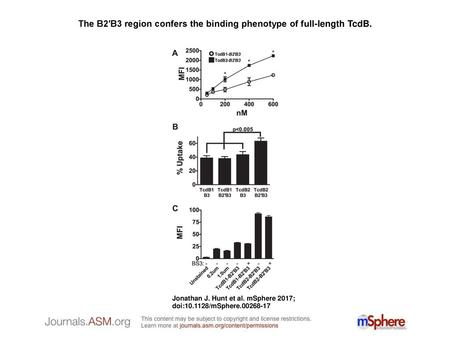 The B2′B3 region confers the binding phenotype of full-length TcdB.