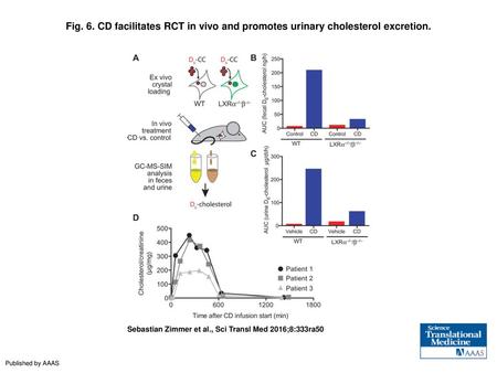 CD facilitates RCT in vivo and promotes urinary cholesterol excretion