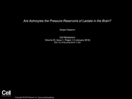 Are Astrocytes the Pressure-Reservoirs of Lactate in the Brain?