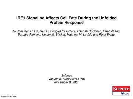 IRE1 Signaling Affects Cell Fate During the Unfolded Protein Response