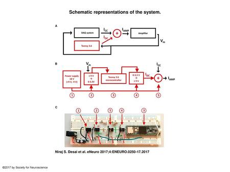 Schematic representations of the system.