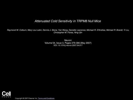 Attenuated Cold Sensitivity in TRPM8 Null Mice