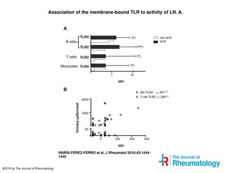 Association of the membrane-bound TLR to activity of LN. A.