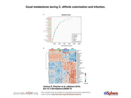 Cecal metabolome during C. difficile colonization and infection.