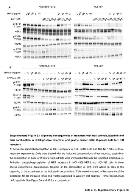 Leto et al., Supplementary Figure S3