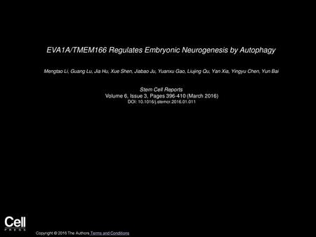 EVA1A/TMEM166 Regulates Embryonic Neurogenesis by Autophagy