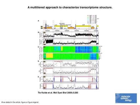 A multitiered approach to characterize transcriptome structure.