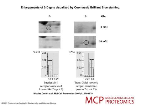 Enlargements of 2-D gels visualized by Coomassie Brilliant Blue staining. Enlargements of 2-D gels visualized by Coomassie Brilliant Blue staining. In.