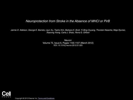 Neuroprotection from Stroke in the Absence of MHCI or PirB