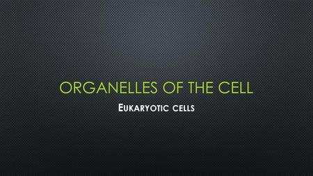 Organelles of the cell Eukaryotic cells.