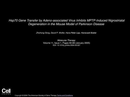 Hsp70 Gene Transfer by Adeno-associated Virus Inhibits MPTP-Induced Nigrostriatal Degeneration in the Mouse Model of Parkinson Disease  Zhizhong Dong,