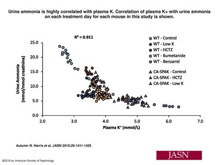 Urine ammonia is highly correlated with plasma K