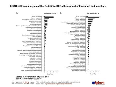 KEGG pathway analysis of the C