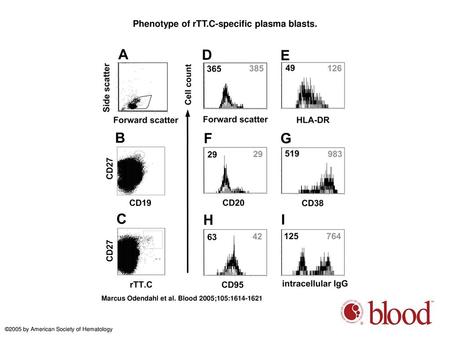 Phenotype of rTT.C-specific plasma blasts.