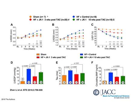 LV Structure, Function, and Circulating BNP Levels at 18 Weeks Post TAC (A) (B) LVEDD and LVESD (mm) throughout the experimental protocol. (C) Percent.