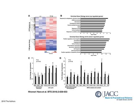 Hironori Hara et al. BTS 2018;3: