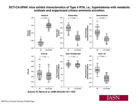 DCT-CA-SPAK mice exhibit characteristics of Type 4 RTA, i. e