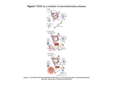 Figure 7 VEGF as a mediator of neuroinflammatory disease