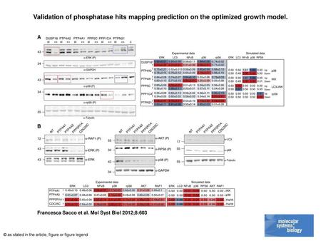 Validation of phosphatase hits mapping prediction on the optimized growth model. Validation of phosphatase hits mapping prediction on the optimized growth.