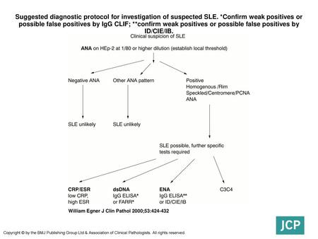 Suggested diagnostic protocol for investigation of suspected SLE