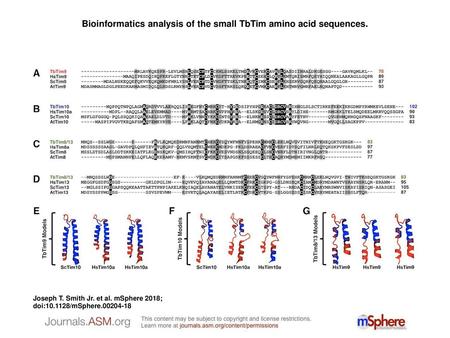 Bioinformatics analysis of the small TbTim amino acid sequences.