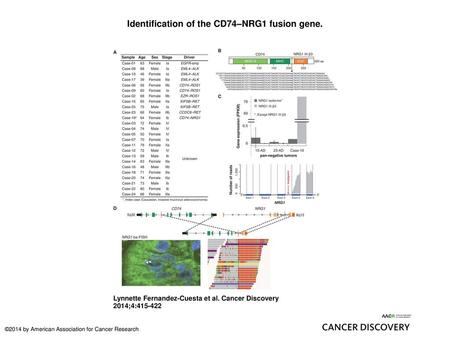 Identification of the CD74–NRG1 fusion gene.