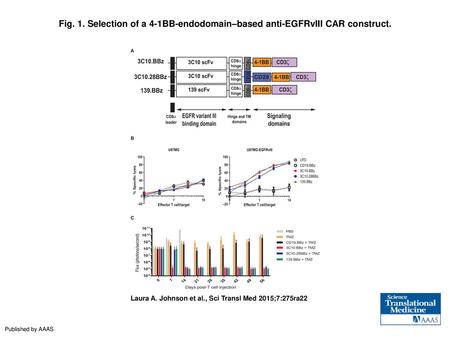 Selection of a 4-1BB-endodomain–based anti-EGFRvIII CAR construct