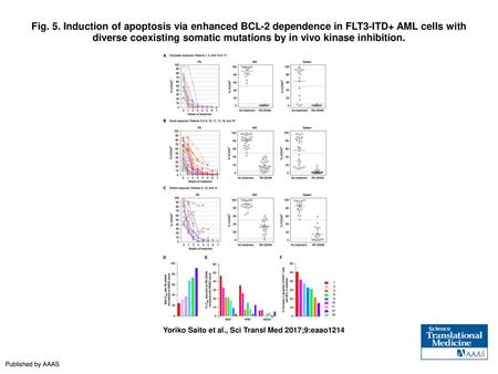 Fig. 5. Induction of apoptosis via enhanced BCL-2 dependence in FLT3-ITD+ AML cells with diverse coexisting somatic mutations by in vivo kinase inhibition.