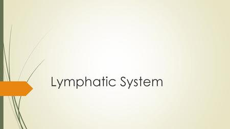 Lymphatic System.