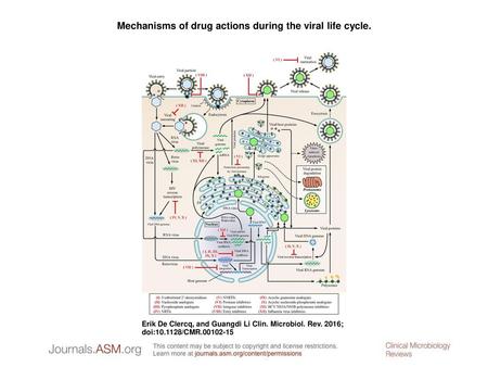 Mechanisms of drug actions during the viral life cycle.