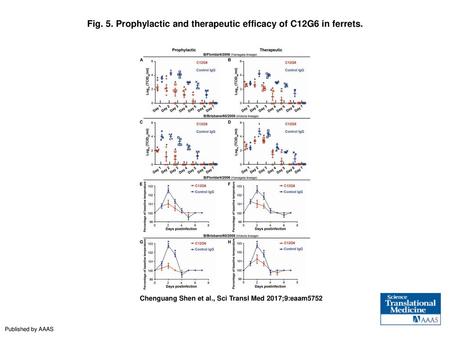 Fig. 5. Prophylactic and therapeutic efficacy of C12G6 in ferrets.