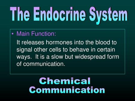 The Endocrine System Chemical Communication Main Function: