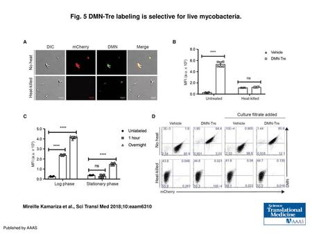 Fig. 5 DMN-Tre labeling is selective for live mycobacteria.