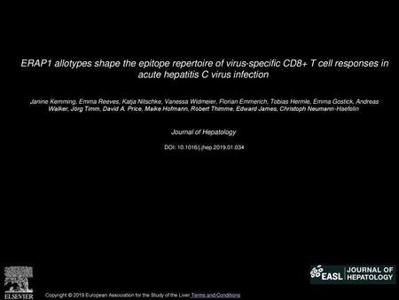 ERAP1 allotypes shape the epitope repertoire of virus-specific CD8+ T cell responses in acute hepatitis C virus infection  Janine Kemming, Emma Reeves,