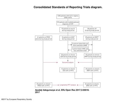 Consolidated Standards of Reporting Trials diagram.