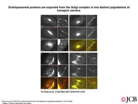 Endolysosomal proteins are exported from the Golgi complex in two distinct populations of transport carriers. Endolysosomal proteins are exported from.