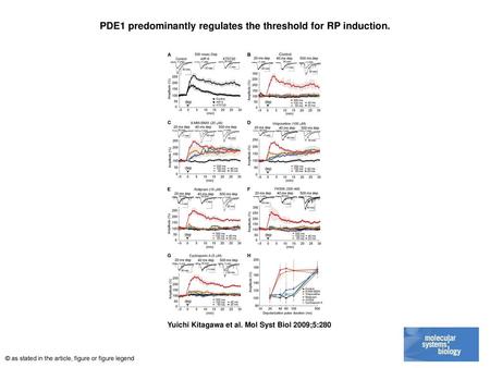 PDE1 predominantly regulates the threshold for RP induction.