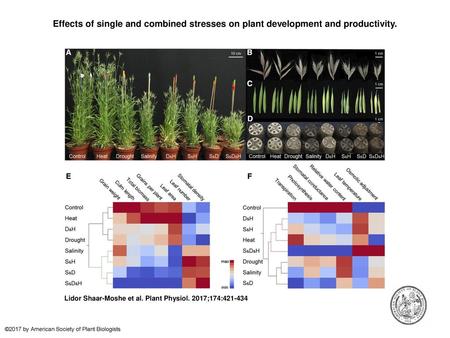 Effects of single and combined stresses on plant development and productivity. Effects of single and combined stresses on plant development and productivity.