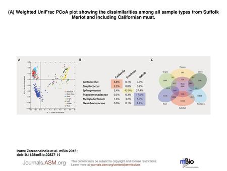 (A) Weighted UniFrac PCoA plot showing the dissimilarities among all sample types from Suffolk Merlot and including Californian must. (A) Weighted UniFrac.