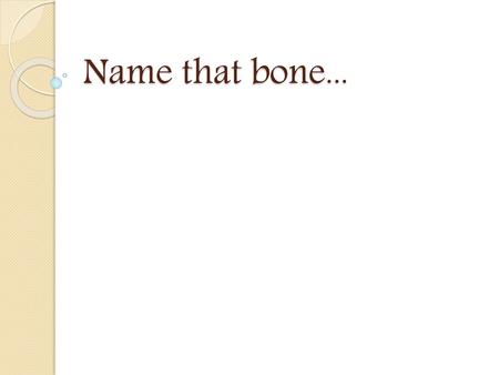 Name that bone....