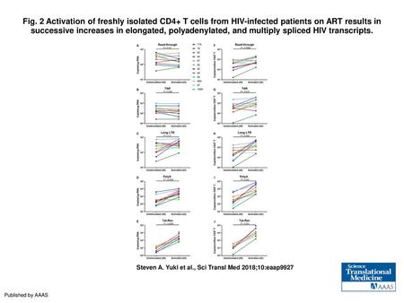 Fig. 2 Activation of freshly isolated CD4+ T cells from HIV-infected patients on ART results in successive increases in elongated, polyadenylated, and.