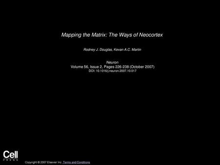 Mapping the Matrix: The Ways of Neocortex