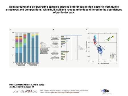 Aboveground and belowground samples showed differences in their bacterial community structures and compositions, while bulk soil and root communities differed.