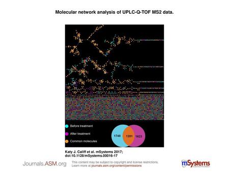 Molecular network analysis of UPLC-Q-TOF MS2 data.